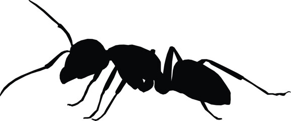 Minimalist Ant Silhouette - Symbol of Hard Work, Unity, and Strength