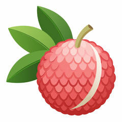 Vector illustration of a lychee