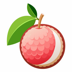 Vector illustration of a lychee