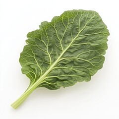 A vibrant, fresh green Swiss chard leaf displayed against a clean white background, showcasing its intricate veins and texture, ideal for culinary or health-related imagery