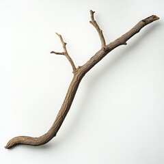 A natural-looking, curved branch with multiple small offshoots, set against a plain white background, showcasing its intricate texture and form, ideal for artistic and design purposes