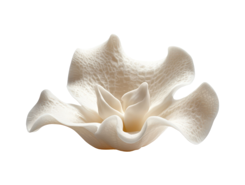 Pale, textured,  decorative  flower form,  in  a  modern  and  stylized  representation.  The  detail  and  smoothness  are  prominent.