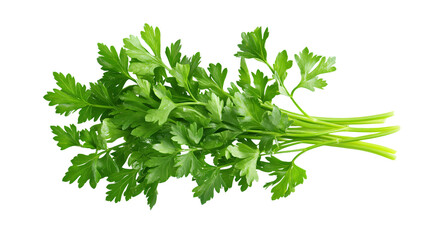 Obraz premium Fresh Parsley Herb Isolated on White Background for Culinary Design