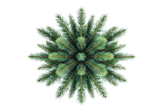 Intricate Green Fir Branches Pattern . White background PNG - Powered by Adobe