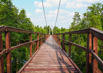 Wooden footbridge in nature tropical forest for trail route. Walking swing bridge, a suspension...
