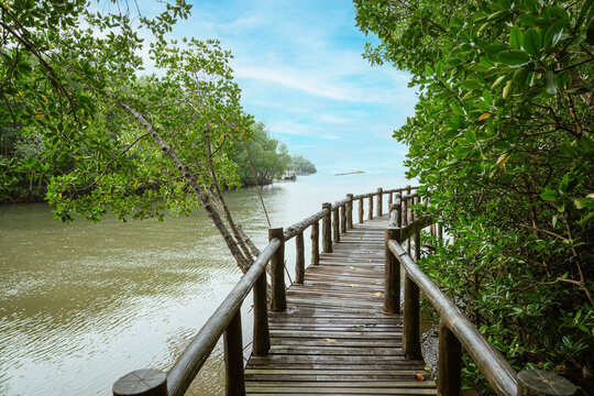 Fototapeta Wooden footbridge in coast of mangrove forest for trail route. Walking bridge, a wood bridge across jungle, path way at the Mu Ko Chumphon national park, Chumphon  Province,Thailand.