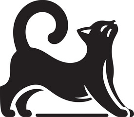 black cat on white background