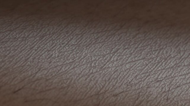 Clean black skin surface macro, 4k looped switch