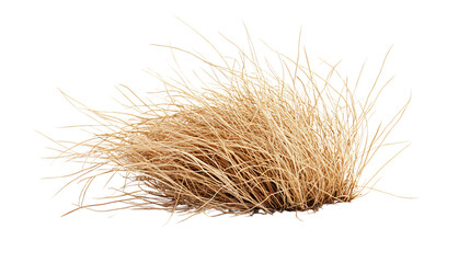 Obraz premium Tumbleweed Isolated on White Background for Professional Design Projects