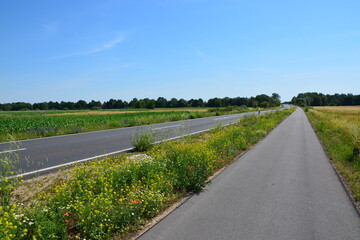 Straße, Feld, Wiese, Natur, Horizont, Himmel, Landschaft