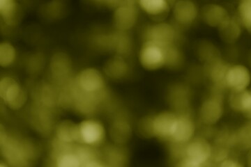Abstract olive green bokeh light effects background for your project © M Halim Abduh