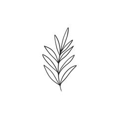 Vector linear boho elements icons and symbols