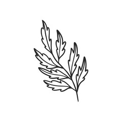 Vector linear boho elements icons and symbols