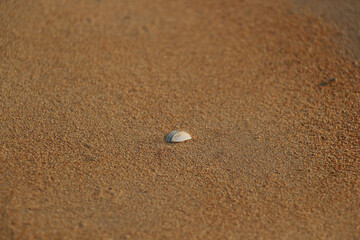 sand on the beach