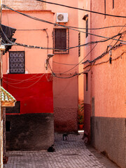 Traditional alley with cats in the Kasbah district of Marrakesh, Morocco, featuring colorful textured walls, narrow streets, vibrant urban life, historic architecture, and authentic cultural heritage.
