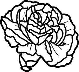 vector illustration of a rose