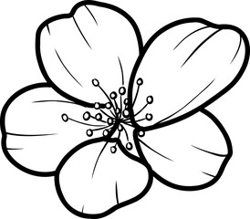 Flower hand drawing line art minimalist illustration
