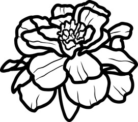 Flower hand drawing line art minimalist illustration