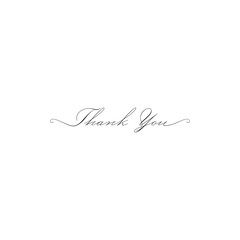 Thank you beautiful quote vector illustration on white background. Thank you lettering text . Calligraphy template.
