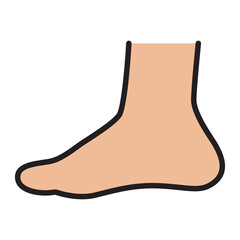 Human foot anatomy icon