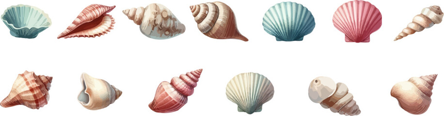 Seashells  icons collection. Starfishes and seashells vector icons .Marine Shell illustration isolated. Scallop,conch shell , snail icon.