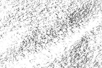 Abstract grunge black and white distressed texture overlay effect design element, noise background