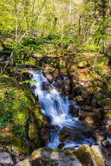 Obraz premium Ars River winding between rocks through the forest in spring in Haut-Couserans, Ariège