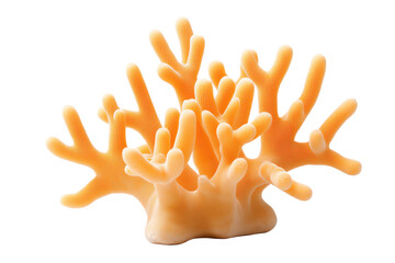 Obraz premium A branching orange coral structure with multiple rounded tips and natural textures.