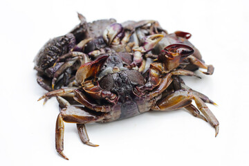 Preserved crabs for ingredient thai food