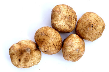 Fototapeta premium Mexican turnip or jicama or yam bean