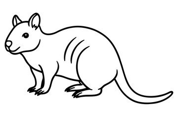 Quokka Sketch Vector