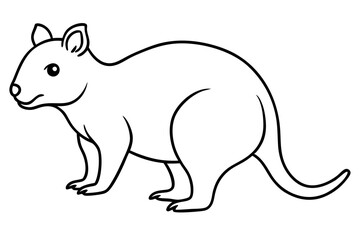 Quokka Sketch Vector