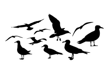 Obraz premium Silhouette illustration of seagulls in various poses against a white backdrop