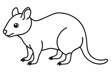 Quokka Sketch Vector