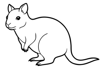 Quokka Sketch Vector