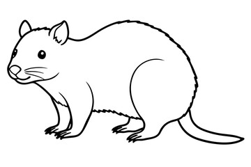 Quokka Sketch Vector