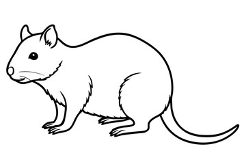 Quokka Sketch Vector