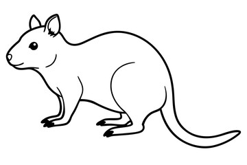 Quokka Sketch Vector