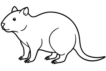 Quokka Sketch Vector