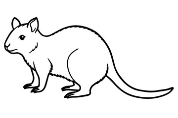 Quokka Sketch Vector