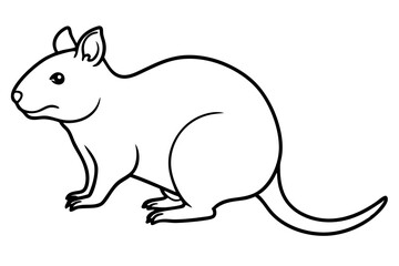 Quokka Sketch Vector