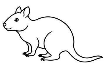Quokka Sketch Vector