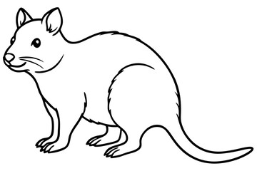 Quokka Sketch Vector