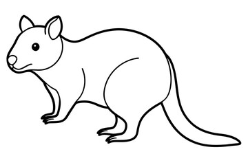 Quokka Sketch Vector