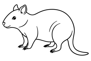 Quokka Sketch Vector