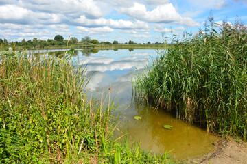 See, Ufer, Horizon, Himmel, Natur, Landschaft