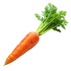carrots on white background