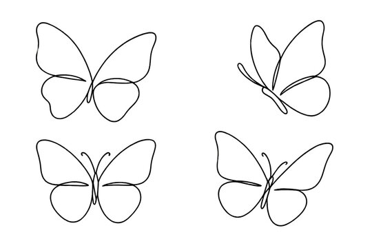 Butterflies drawn in continuous line art showcasing elegant shapes and graceful forms in black on a white background