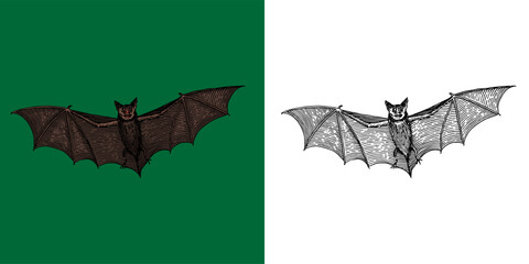 Scary hand drawn flying bat. Halloween witchcraft and sorcery animal magician and voodoo engraved vampire