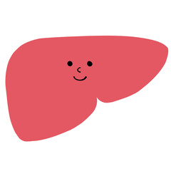 健康な肝臓のイラスト